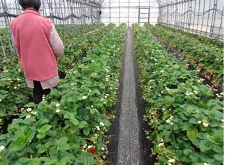 daa5b8f0-fc3c-4856-a00d-349919bb6f03.jpg daa5b8f0-fc3c-4856-a00d-349919bb6f03.jpg