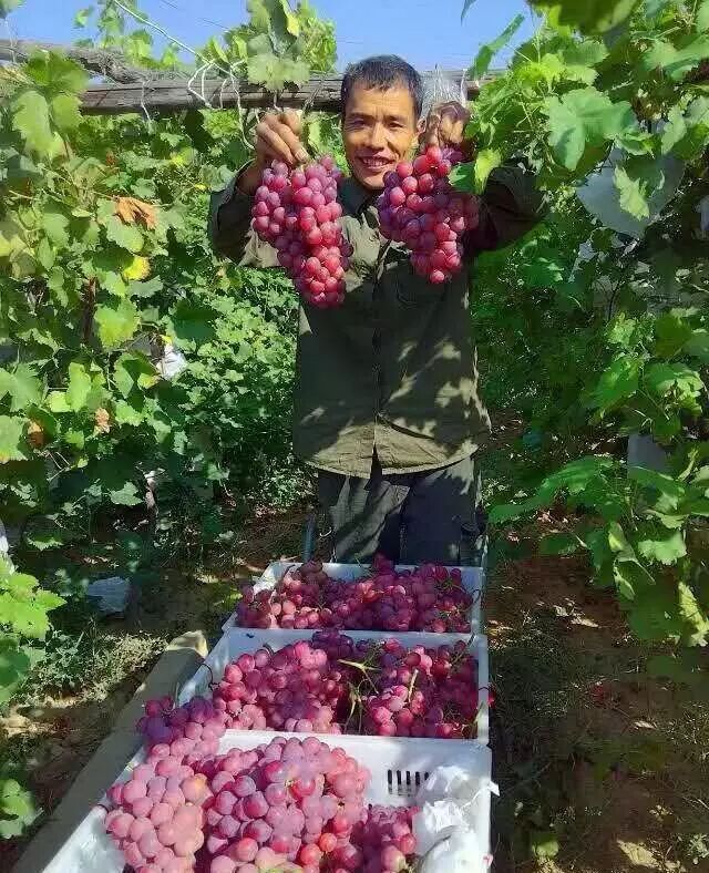 ed11e4b2-3883-451b-9677-8f5e679ac07d.jpg ed11e4b2-3883-451b-9677-8f5e679ac07d.jpg