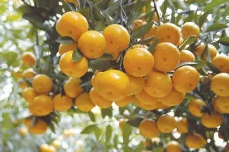 b1c9b30f-a1bf-43d8-9155-6faae4f96f61.jpg b1c9b30f-a1bf-43d8-9155-6faae4f96f61.jpg