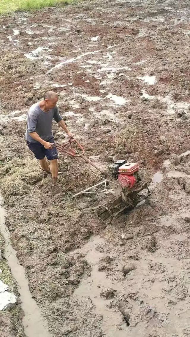 e68d7321-a9b4-428c-982c-8b53e90ab2cb.jpg e68d7321-a9b4-428c-982c-8b53e90ab2cb.jpg