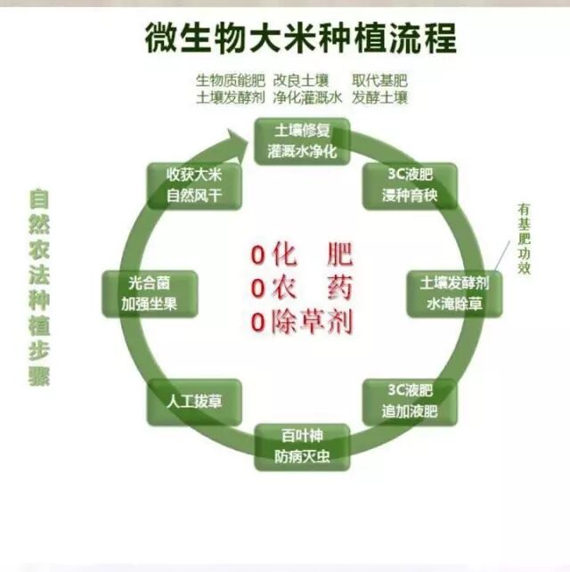 2fe22ef2-44ce-42d4-9871-286935e0edca.jpg 2fe22ef2-44ce-42d4-9871-286935e0edca.jpg