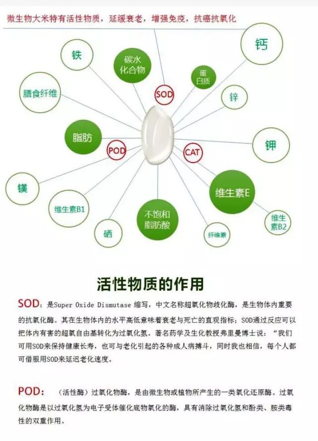 828e66b9-fb7c-49b8-a5b3-3342739f4130.jpg 828e66b9-fb7c-49b8-a5b3-3342739f4130.jpg