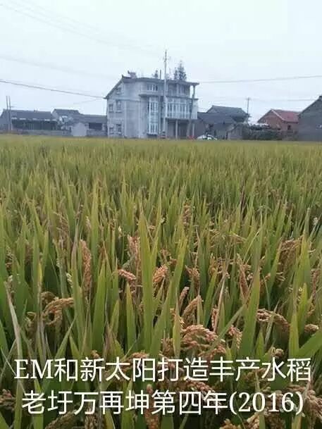 b88660cd-3ca7-403a-a27a-4fccf4915ffc.jpg