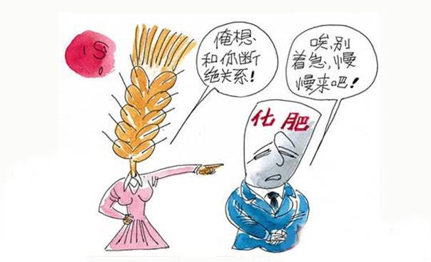 1cd3a540-c872-4eff-b04b-0759b62b314a.jpg