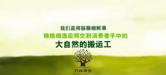 54e78cf4-7a70-497d-80cc-95bf2c605edc.jpg