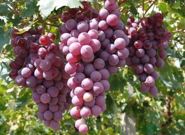 a0264e8e-11c9-4163-9c6a-ffc31edb5dae.jpg a0264e8e-11c9-4163-9c6a-ffc31edb5dae.jpg