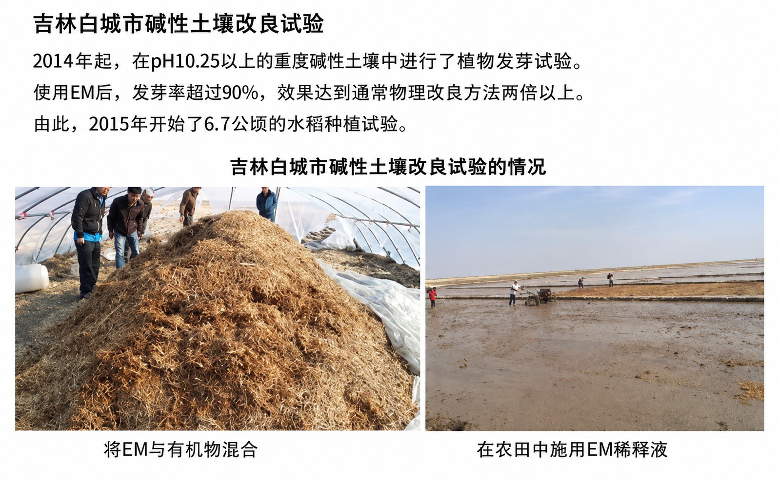 【配图1】吉林白城:EM与有机物混合及田间施用现场.jpg 【配图1】吉林白城:EM与有机物混合及田间施用现场.jpg